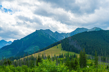 Scenic views from the heart of the Tatra Mountains, featuring the enchanting Polana Rusinowa, the picturesque Gęsia Szyja, and the breathtaking Hala Gąsienicowa. Explore the serene beauty. © Tomasz