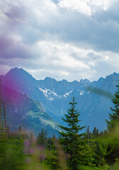 Harmony of Nature: A Tranquil Journey Through the Polana Rusinowa Trail © Tomasz