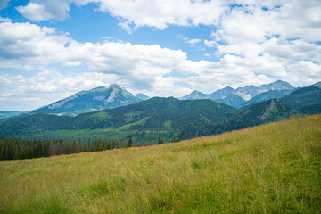 Scenic views from the heart of the Tatra Mountains, featuring the enchanting Polana Rusinowa, the picturesque Gęsia Szyja, and the breathtaking Hala Gąsienicowa. Explore the serene beauty. © Tomasz