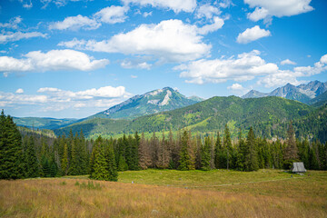 Scenic views from the heart of the Tatra Mountains, featuring the enchanting Polana Rusinowa, the picturesque Gęsia Szyja, and the breathtaking Hala Gąsienicowa. Explore the serene beauty. © Tomasz