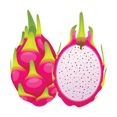 Dragon fruit whole and half cut. Vector illustration isolated on white background