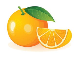 Fresh orange fruit whole and sliced. Vector illustration isolated on white background