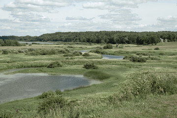 Natural summer landscape with river.