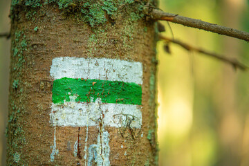 Explore marked trails in the Tatra Mountains, through Rusinowa Glade, Goose Neck, and Gąsienicowa Hall. Discover lush meadows and stunning landscapes in the heart of Polish peaks.