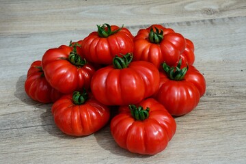 Harvested ripe Costoluto Fiorentino tomatoes in a pile, UK, Europe. - 659836316