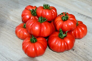Harvested ripe Costoluto Fiorentino tomatoes in a pile, UK, Europe. - 659836333