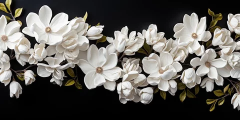 Zelfklevend Fotobehang Magnolias flowers background banner panorama - Beautiful blooming white magnolia branch, isolated on black background, top view © Svitlana