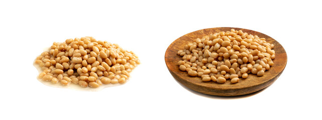 White Kidney Beans Isolated