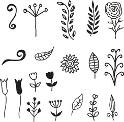 Handdrawn decorative leaves and floral elements