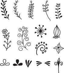 Handdrawn decorative floral elements