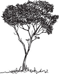 Hand sketched tree