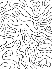 Abstract pattern with lines topography map