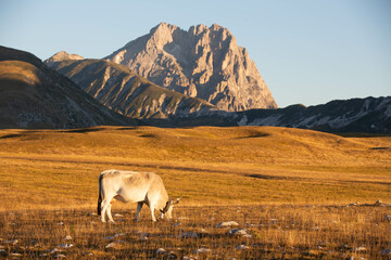 Gran Sasso at sunrise