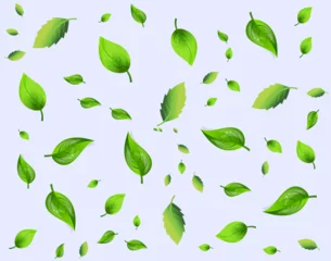 Foto op Plexiglas seamless leaf leaves pattern nature illustration © Vector29