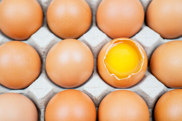 chicken egg broken with yolk