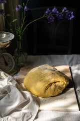 Fresh homemade yeast dough on cutting board.