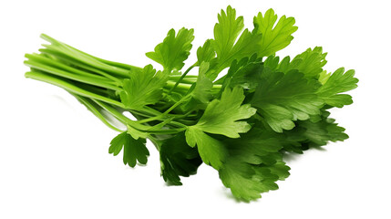 Green fresh parsley herb isolated on transparent background