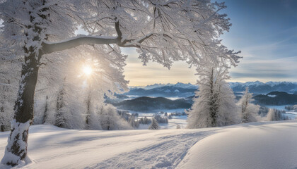 Allgäu's Scenic Winter Wonderland