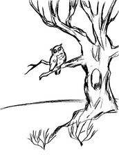 Owl is sitting on a tree