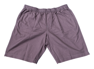 Gray men shorts