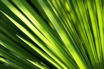 A background image featuring a close-up view of vibrant green palm leaves illuminated by sunlight, providing a vivid backdrop for creative inspiration. Photorealistic illustration