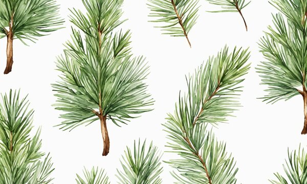 Pine branch watercolor isolated illustration. green natural forest christmas tree. needles branches greenery hand drawn. holiday decor with fir branch. holiday celebration decoration, Generative AI