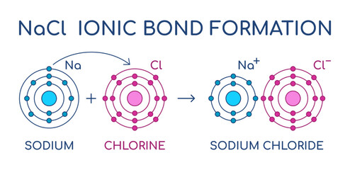 Sodium Chloride ionic bond formation. NaCl structure. Sodium and Chlorine atom chemical reaction. Electron transfer. Electrostatic attraction force. Table salt crystal lattice. Vector illustration.  - obrazy, fototapety, plakaty