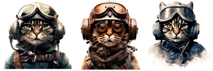 Fotobehang Set of cat military pilot, isolated on transparent background © juliiapanukoffa