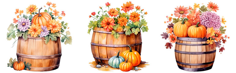 Set of watercolor pumpkin and flowers grow in a wooden barrel, isolated on transparent background