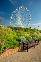 Fototapeta premium Eastbourne wheel by the sea, UK