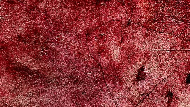 Animation grunge. Blood splash on black background, Red blood transition pattern background. Grunge brush strokes animation. 