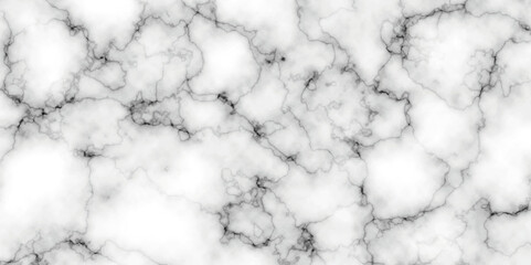 Fototapeta premium Panoramic white background marble stone texture for design. Natural stone Marble white background wall surface black pattern. White and black marble texture background. Luxurious material interior.