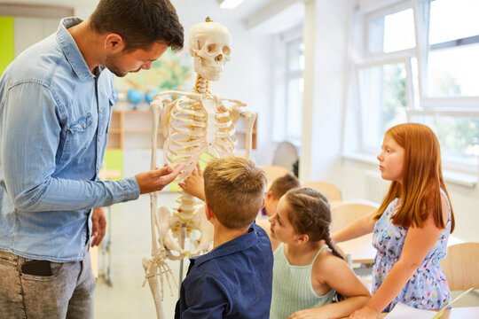 Teacher explaining human skeleton to students in classroom - Powered by Adobe