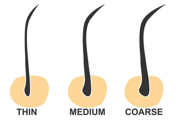 Hair thickness types classification set