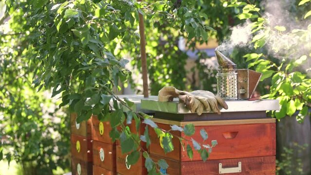 A tools of the beekeeper. Everything for a beekeeper to work with bees. Smoker, a chisel, box, beekeeper suit for protection from the bees, equipment for beekeeping, beekeeping concept