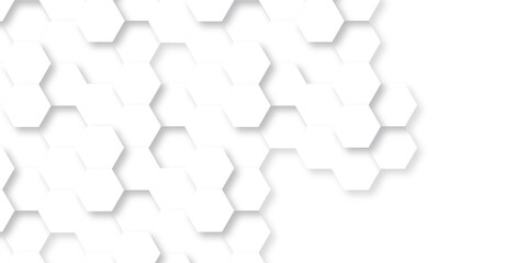 Abstract background with hexagon, modern abstract vector polygonal pattern. Futuristic abstract honeycomb mosaic white background. Luxury white hexagon pattern. 