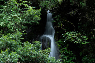 美しい滝　岐阜県