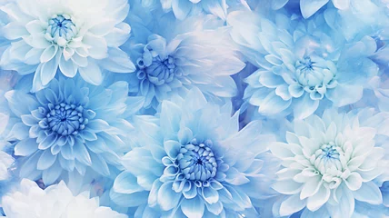Schilderijen op glas delicate light background flowers blue and white chrysanthemums, abstract realistic flower petals, soft color pastel © kichigin19