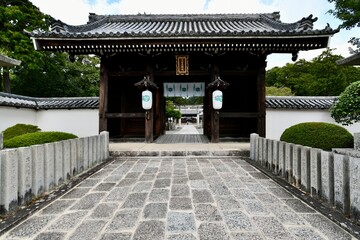 Naklejka premium 仙台の瑞鳳殿と神社