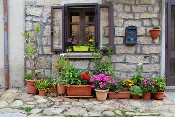 Fototapeta na wymiar Cozy flowerpot garden in Aggius, Italy