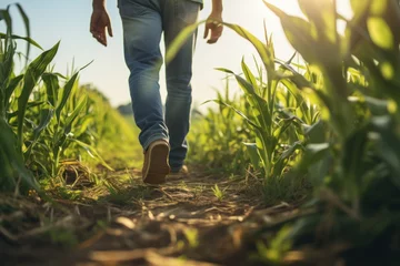 Foto op Aluminium Agriculture. Male farmer wearing rubber boots. Working along the sunshine near the green corn fields. AI generative © Attasit