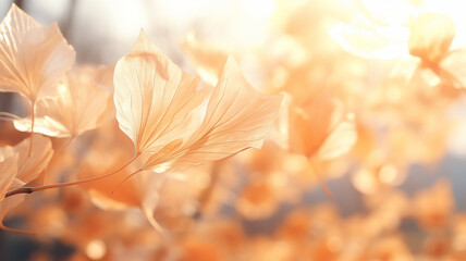 falling autumn leaves and branches nature in light translucent soft color pastel tinting on a sunny day