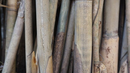 Fototapeta premium Bamboo in the wall of the old house, Indonesia. Background.