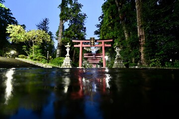 仙台の夜の雨の八幡宮の鳥居