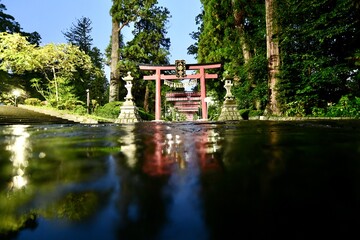 仙台の夜の雨の八幡宮の鳥居