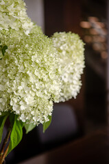 Bouquet of white and green hydrangea flowers at the reception desk of a fashionable hotel