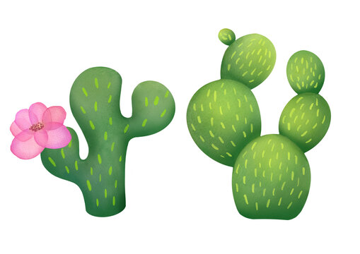 Watercolor clipart green Mexican Cacti set isolated on transparent background for stickers, greeting cards, scrapbooking. collection of Cute plants, succulents, prints about nature and deserts 