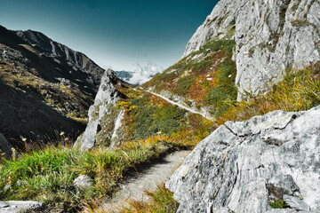 Hiking path in lonely enviroment