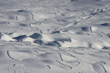Fototapeta premium Snow in the Alps - Winter scene
