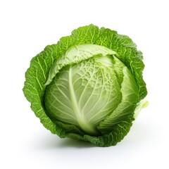Cabbage on a white background. 